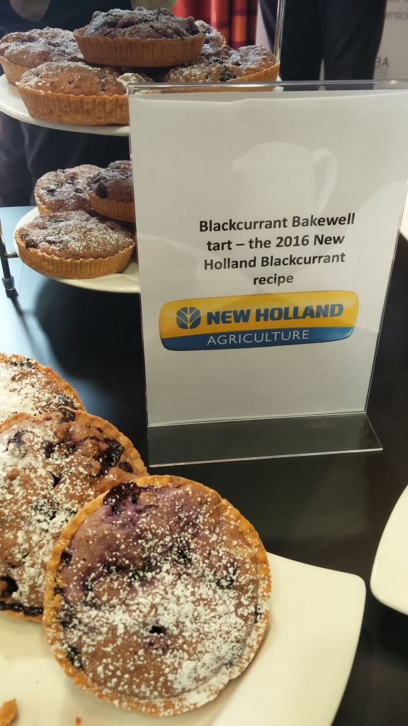 BLACKCURRANT MUFFINS - Official Website International Blackcurrant ...